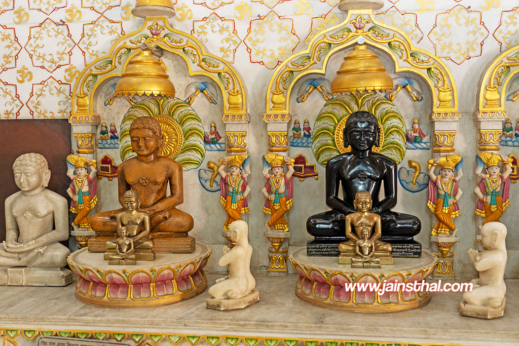 -jain-nagar-rohini-mandir-.jpg
