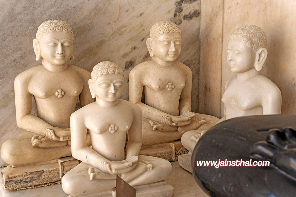 -jain-nagar-rohini-mandir-.jpg