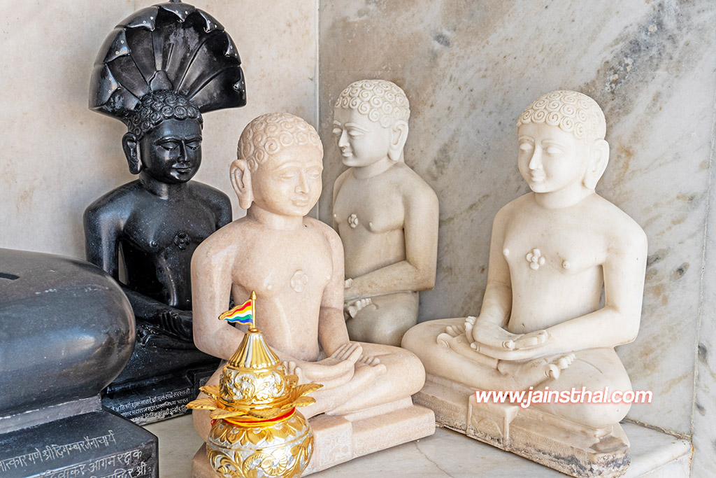 -jain-nagar-rohini-mandir-.jpg